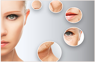 Skin Micro Needling